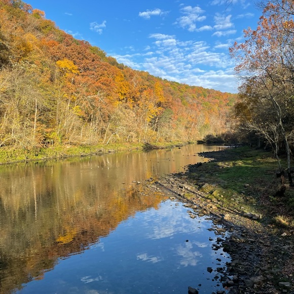 🦋Meet your Posher, Katy🦋 - Picture 9 of 12